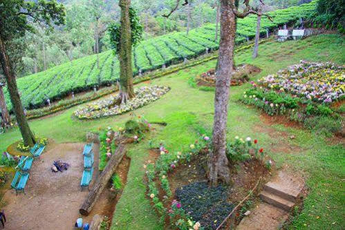 Oak Field Resort Munnar Exterior photo