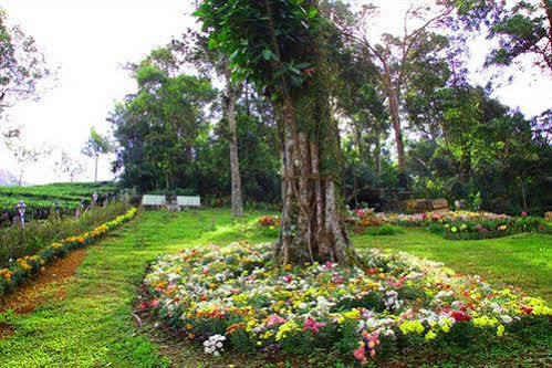 Oak Field Resort Munnar Exterior photo